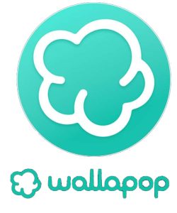 testimonios wallapop lacumbre4x4